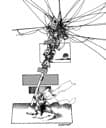 sbbu bugs test collection