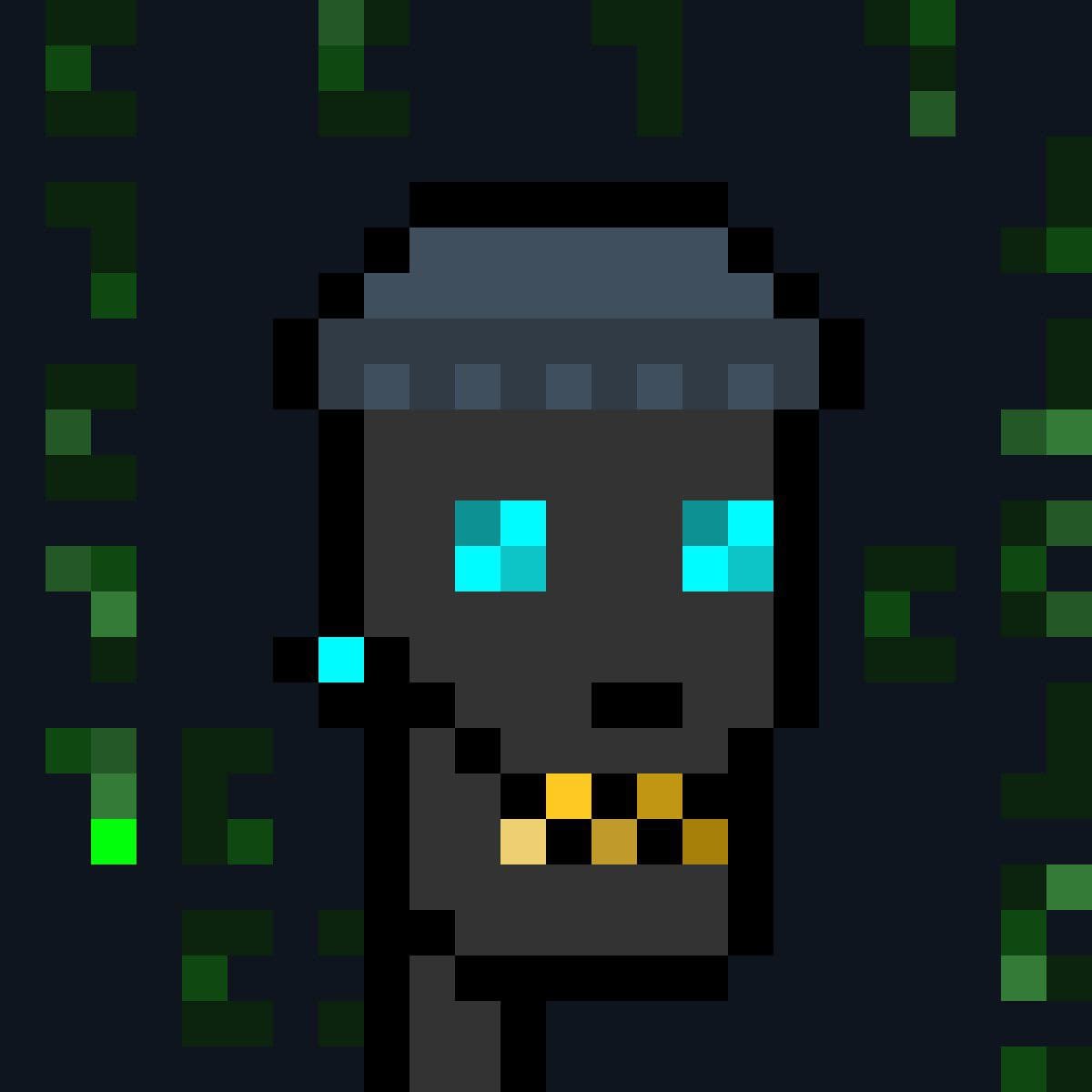 Skull Punk Terminal collection avatar