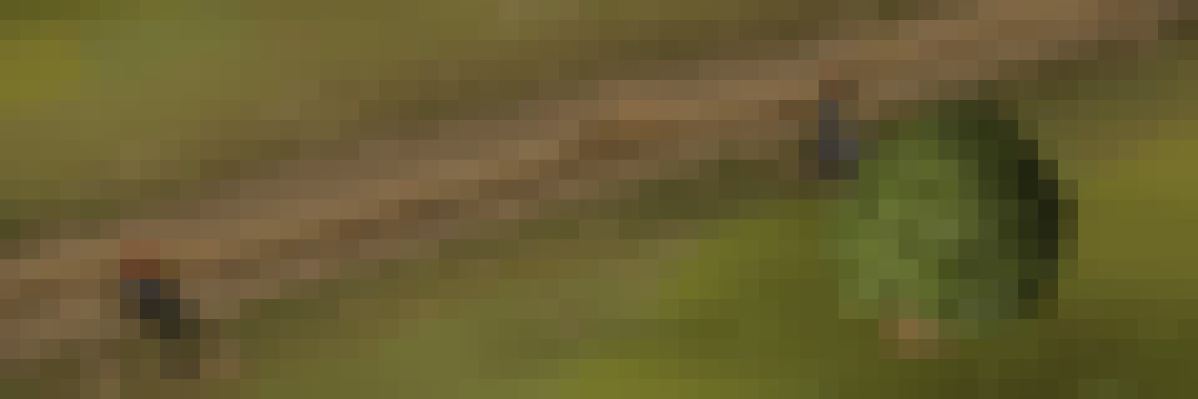 Collection banner