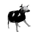 Polish Cows