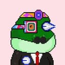 PunkToads