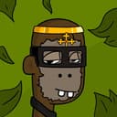 ApePunks