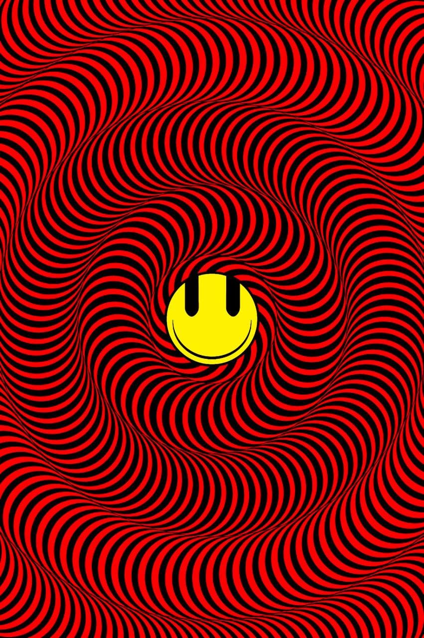 CULT BEETLES banner