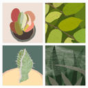 Some Garden Days