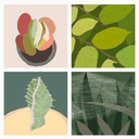Some Garden Days
