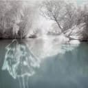 snow melts into spring because God loves you