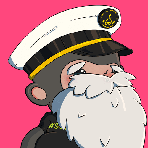 SplashhApe collection avatar