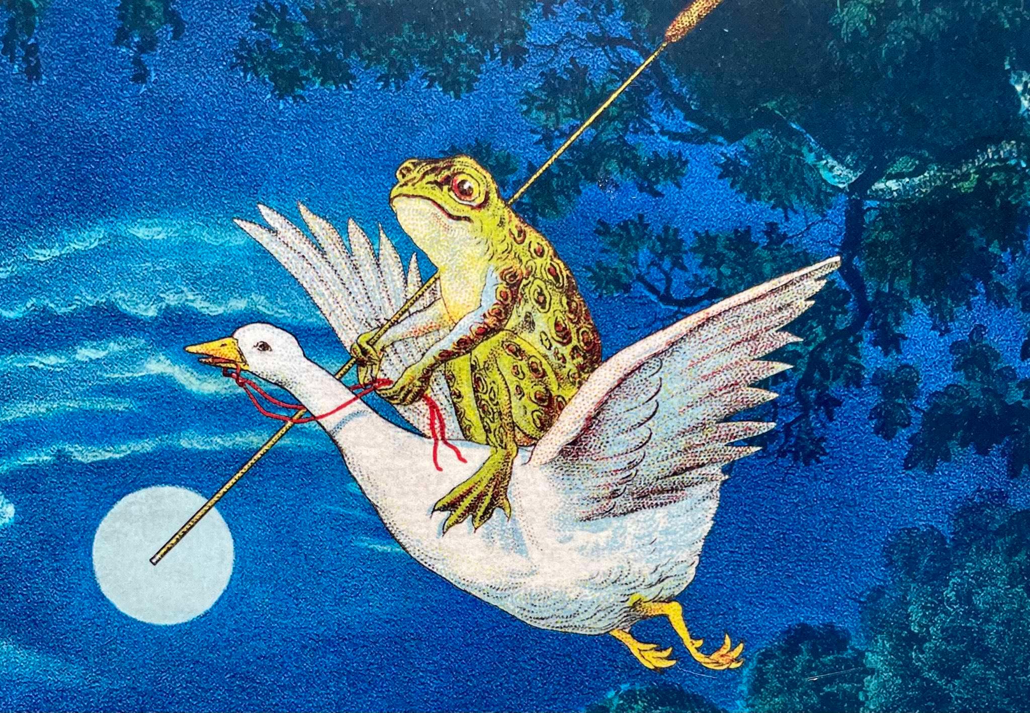 sbbu bugs test collection banner