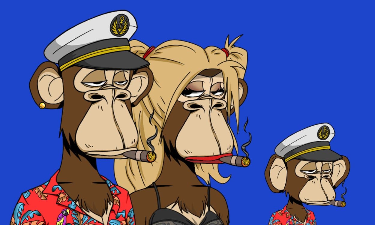 BabyApe banner