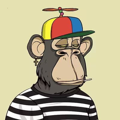 Fat bored collection avatar