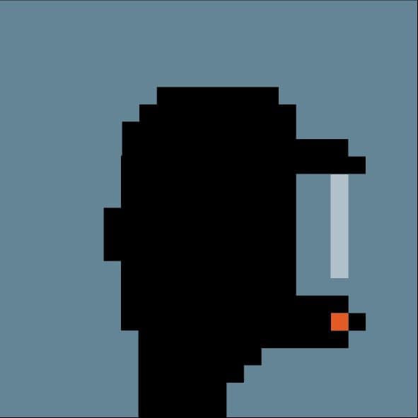 MegaPunkes collection avatar