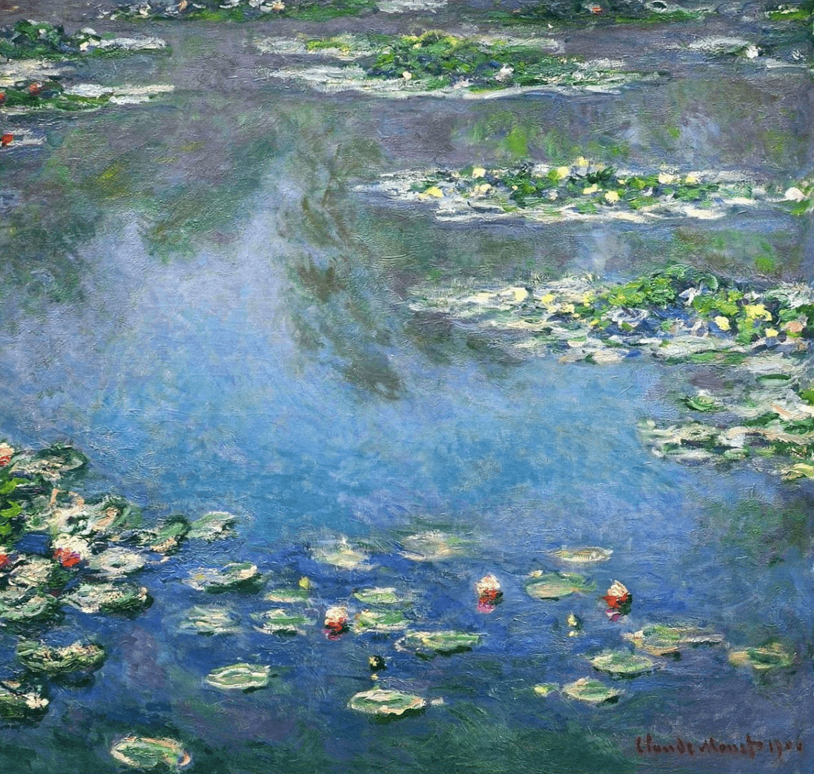 water mililys banner