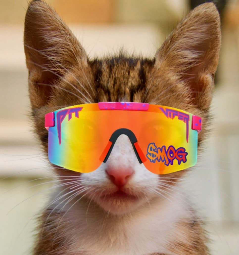 Bang Bang Cat Krewe collection avatar