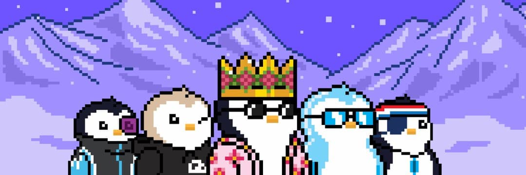 Collection banner