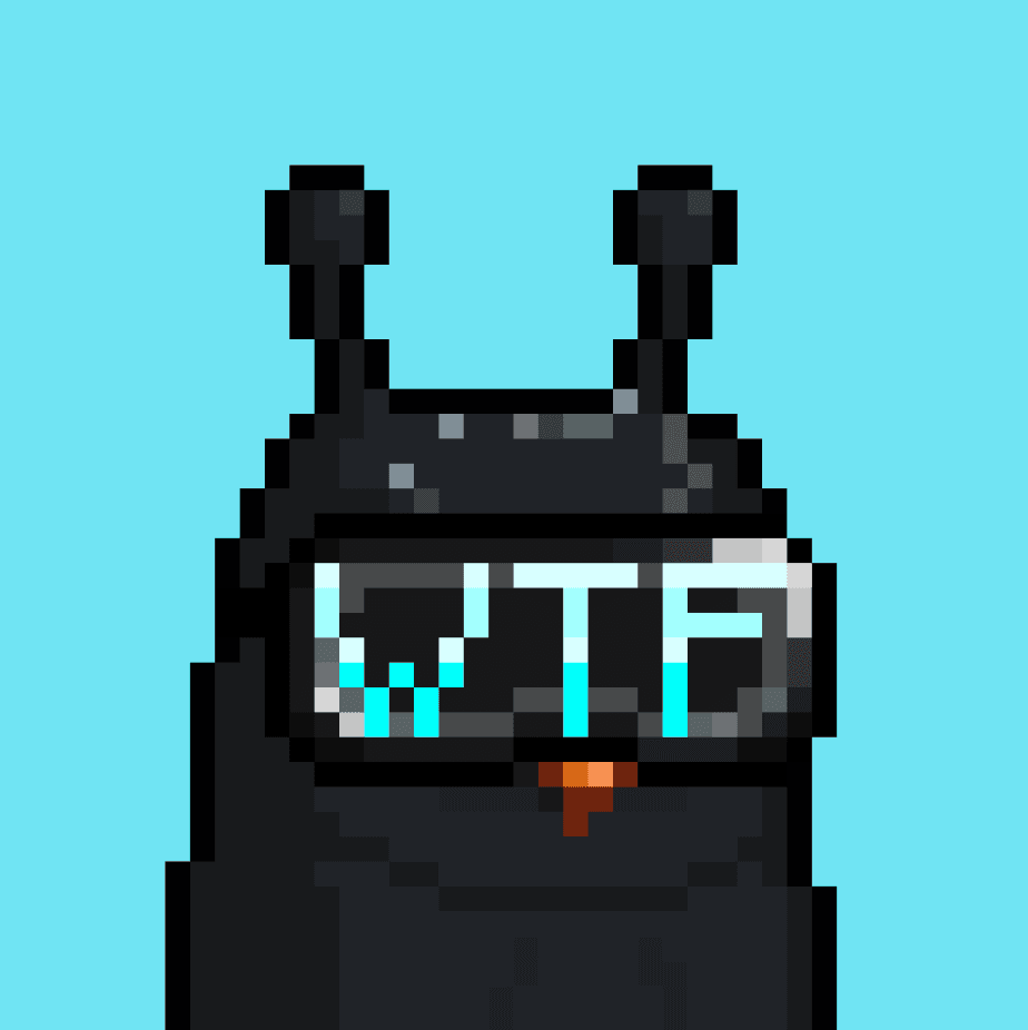 OWLs.WTF collection avatar