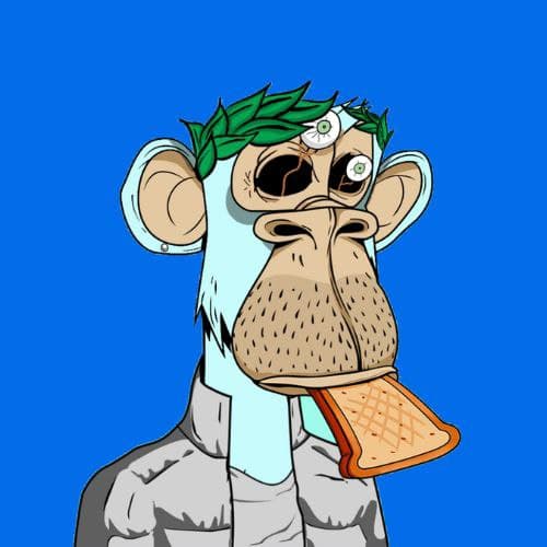 cbAPE collection avatar