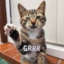 Ungrrr