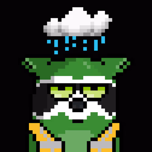 RacoonBirds avatar