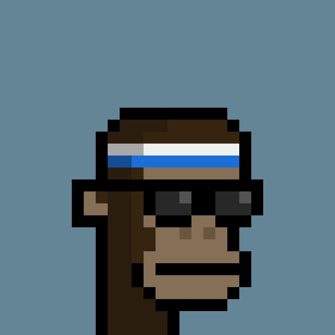 P00NKS collection avatar