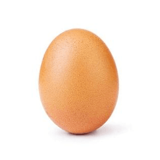 World Record Egg collection avatar