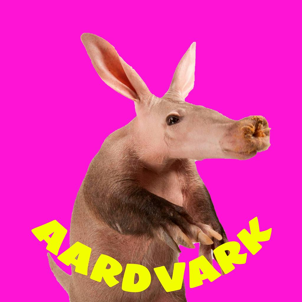 Aardvarks - Non Fungible Aardvarks artwork