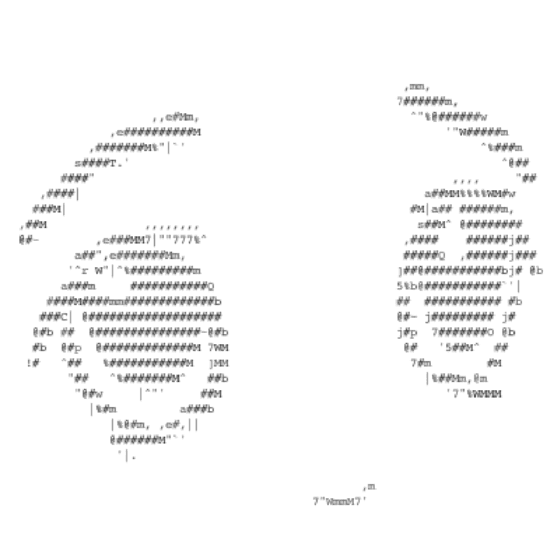 Ascii Milady collection avatar