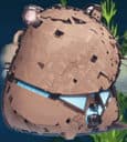 CAPYBARA VISIONS