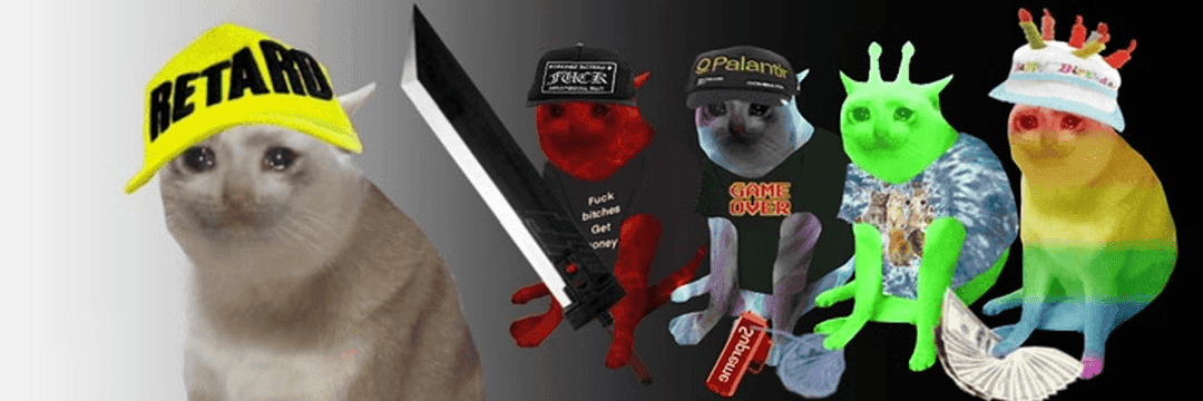 Cash Cats banner