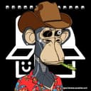 Ape Scatter Club