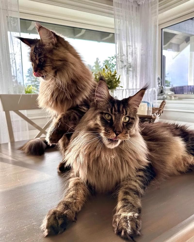 Yesterday is history, tomorrow is a mystery, today is a gift banner