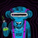 Why the Monkey