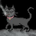 Feral Cats