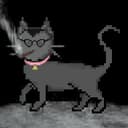 Feral Cats