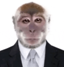 first ape avatar