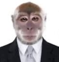 first ape