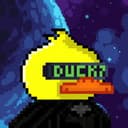 Wacks Ducks?