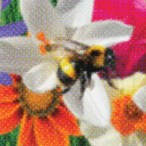 Flower Banners avatar