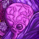 Flesh Forms