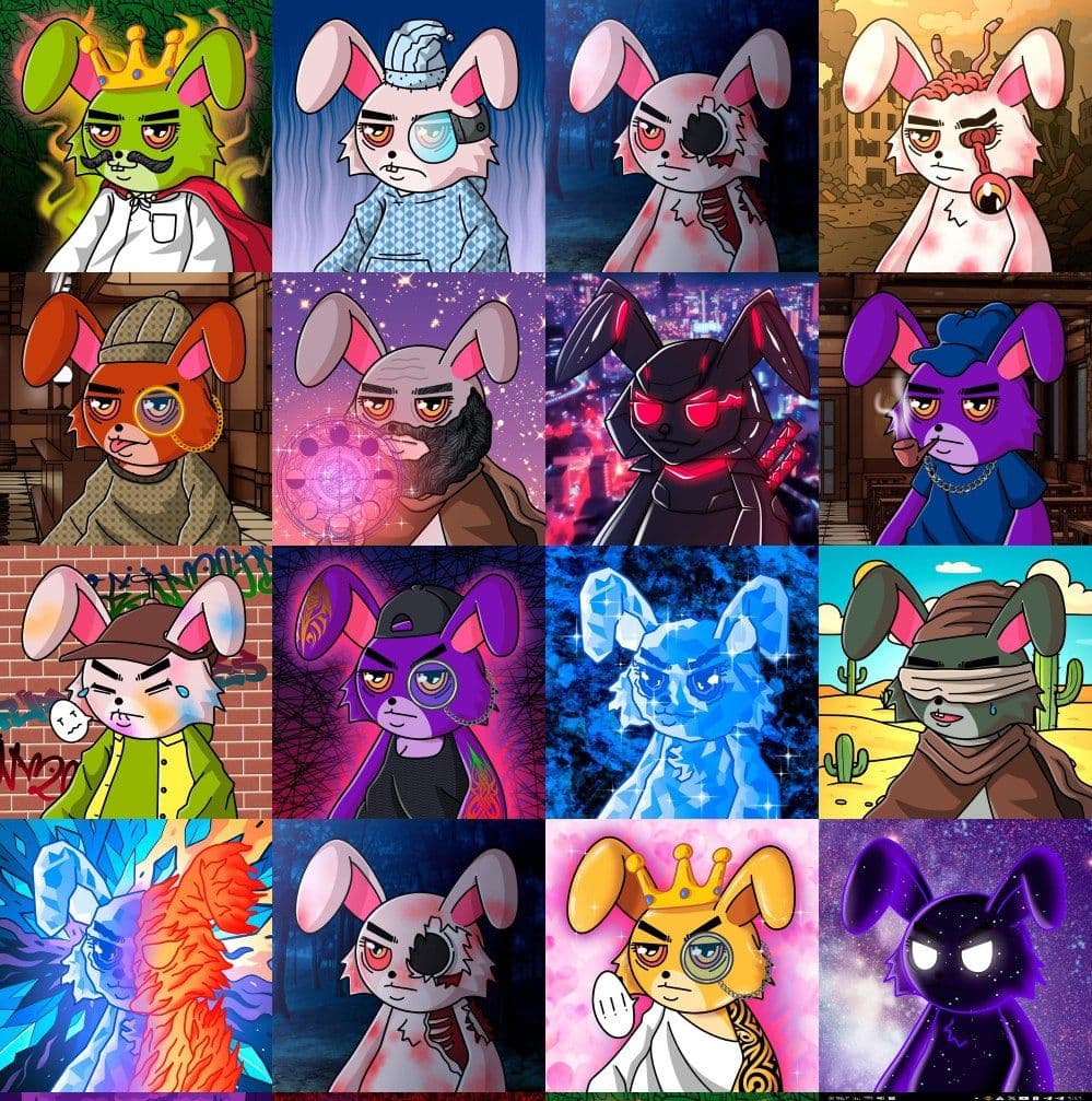 Collection banner