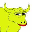 Bull Runners