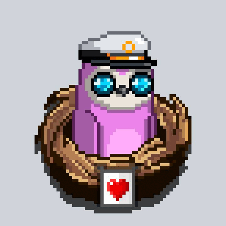 NestedBirds collection avatar