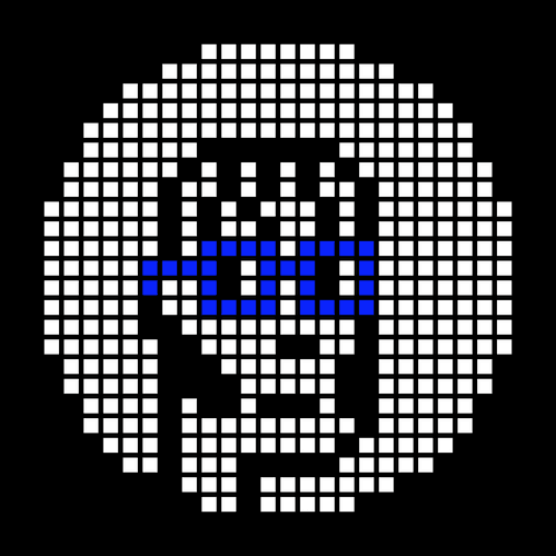 X Based Punk collection avatar