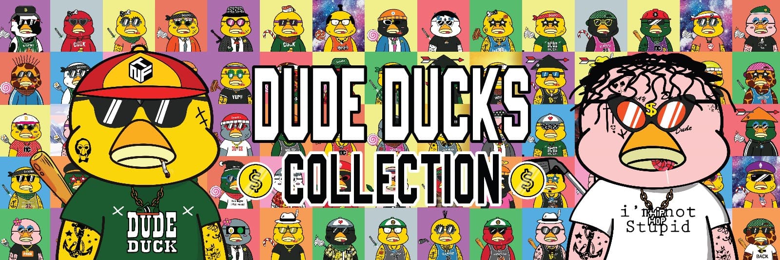 DUDE DUCK banner