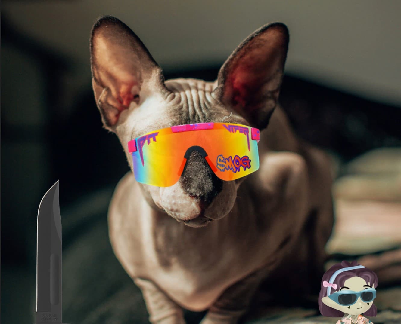 Bang Bang Cat Krewe banner