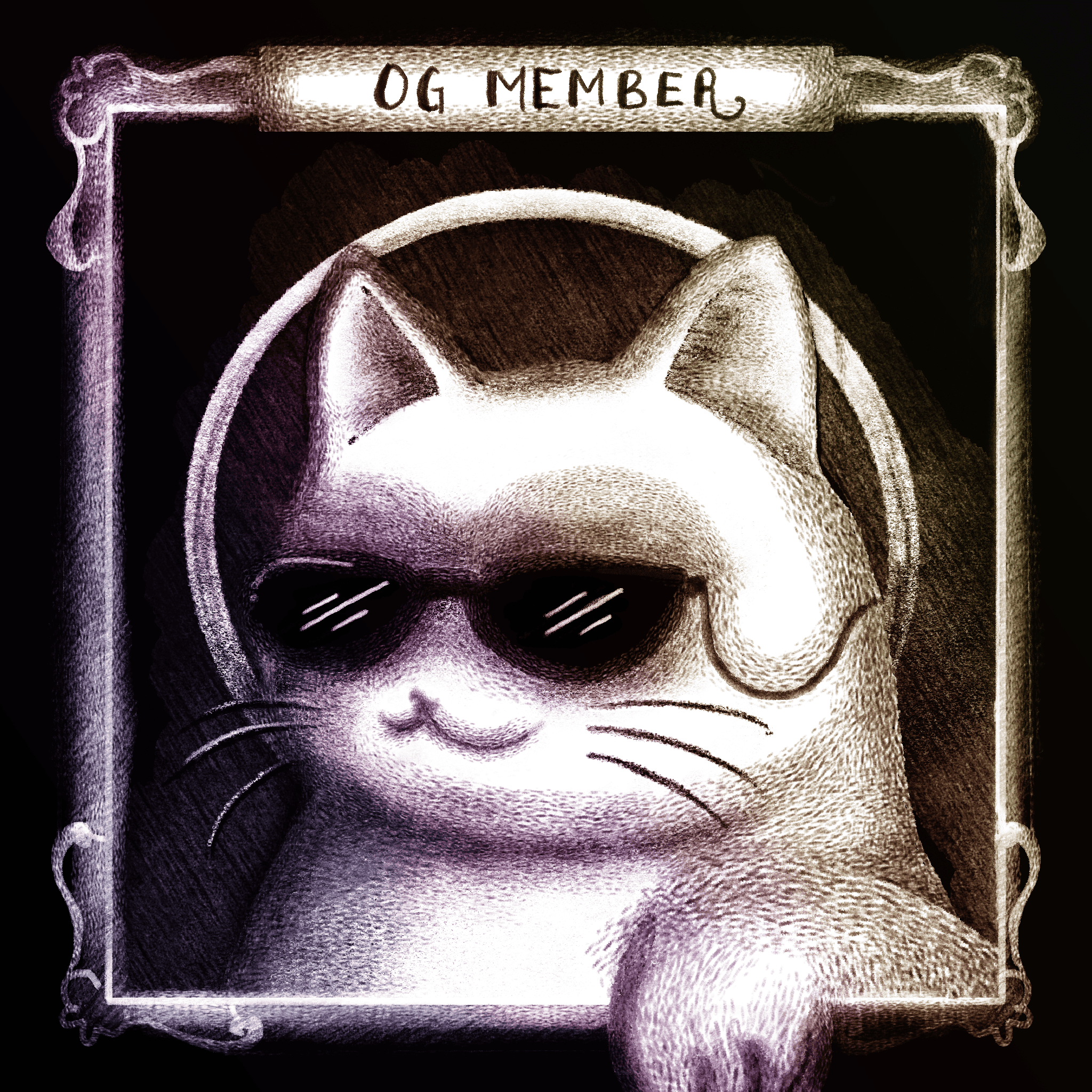The Superposition OG Badge collection avatar