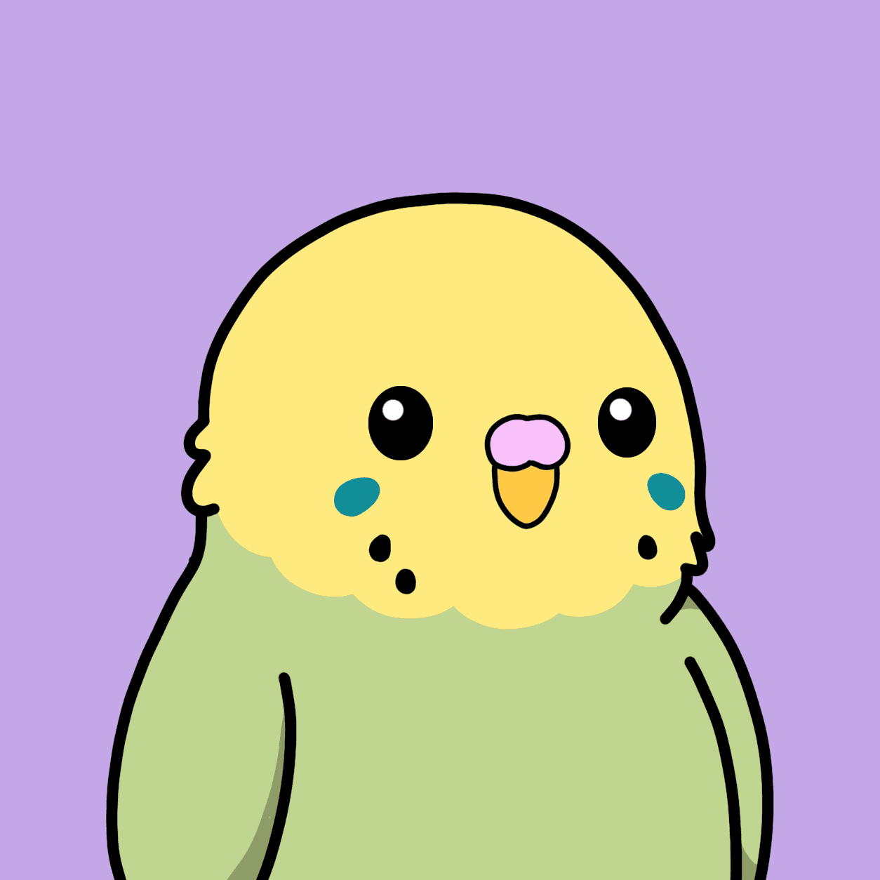 birbs collection avatar