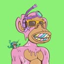 Fun Ape Yacht Club