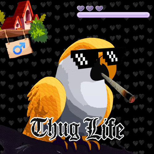 LoveBirds Farm Journey collection avatar