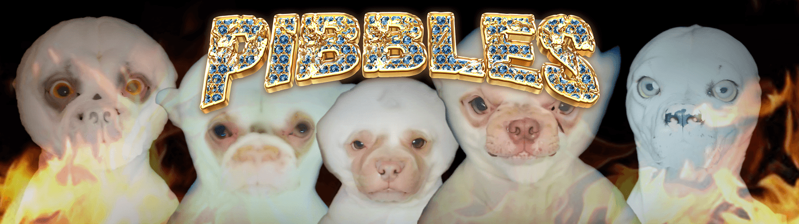 Pibbles banner