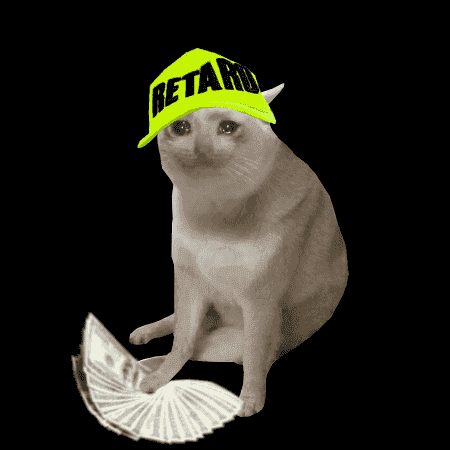 Cash Cats collection avatar